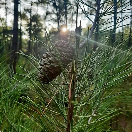 Zen Marina, T3 Face Pour 6 Pers Apartamento Saint-Jean-de-Monts