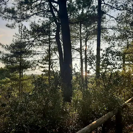 Zen Marina, T3 Face Pour 6 Pers Apartamento