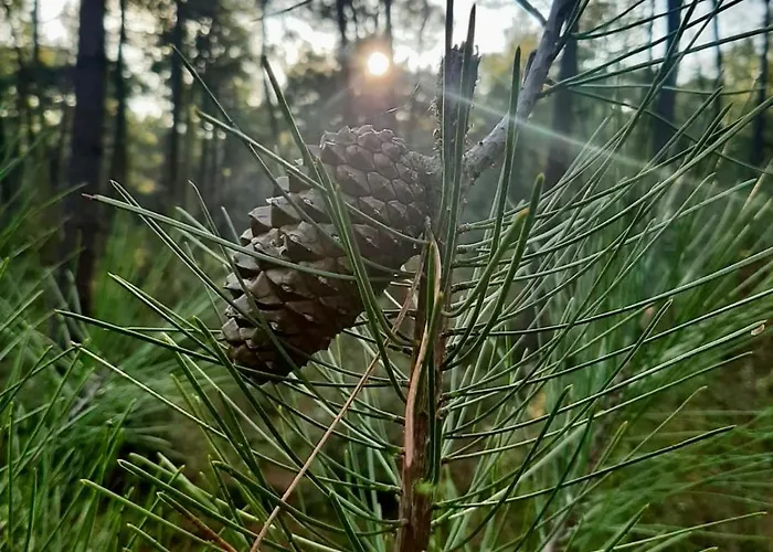 Zen Marina, T3 Face Pour 6 Pers 아파트 생장드몽