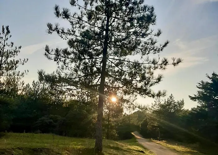 Zen Marina, T3 Face Pour 6 Pers * 생장드몽