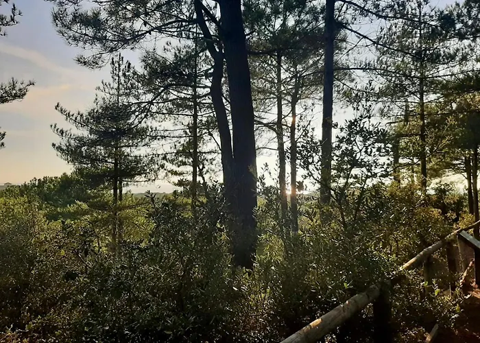 Zen Marina, T3 Face Pour 6 Pers 아파트